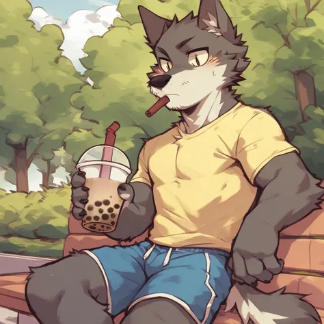 score_9_up, score_8_up, score_7_up, source_furry, furry, Flunky, 1boy, solo, park, holding, bubble tea, yellow t-shirt, blue shorts