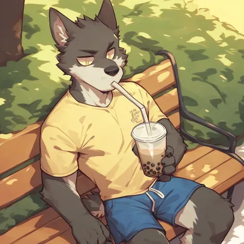score_9_up, score_8_up, score_7_up, source_furry, furry, Flunky, 1boy, solo, park, holding, bubble tea, yellow t-shirt, blue shorts