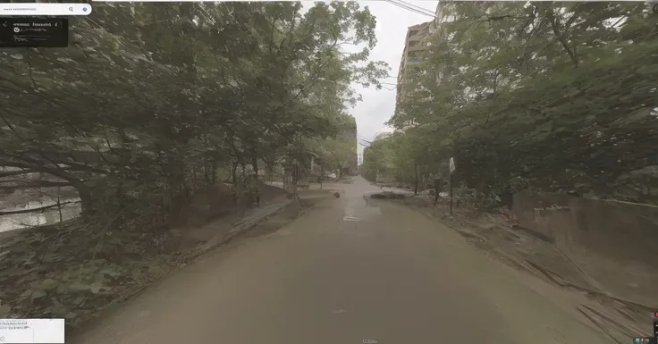 Google Streetview Shitcam