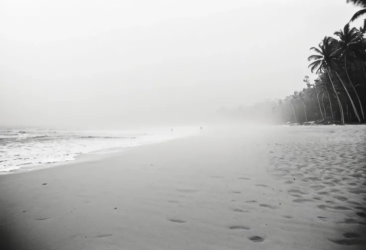 MF_AtomUltra, instagram photo, a foggy beach in sri lanka, hard shadows, film grain