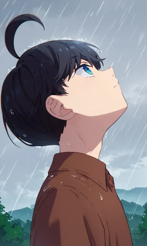 Source_anime,score_9,score_8_up,score_7_up,1boy,solo,Minato Yuzuki,black hair,blue eyes,ahoge, outdoors, dynamic angle,brown shirt,looking up, from side, raining, sky<lora:EMS-457809-EMS:1.000000>