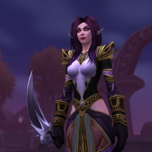 A screenshot from WoW with a female paladin