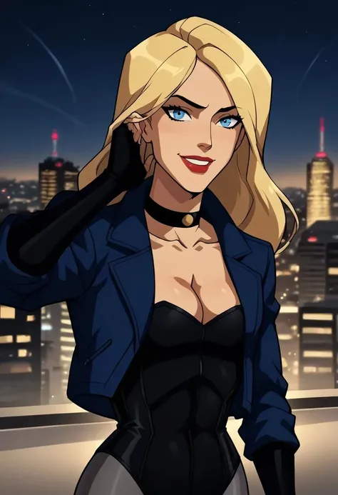 Black Canary - Young Justice - DC Animation