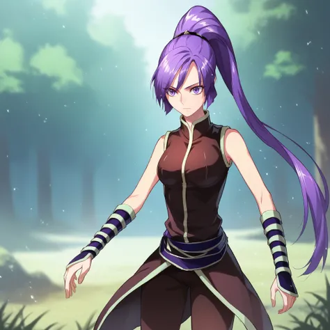 score_9_up, score_8_up, BREAK, MissLei, 1girl, solo,  purple hair, ponytail, long hair, purple eyes, armor, sleeveless, cowboy shot, <lora:MissLei_MagicEmperor_PXL_Leaf1:0.8>, outdoors, depth of field, light particles,