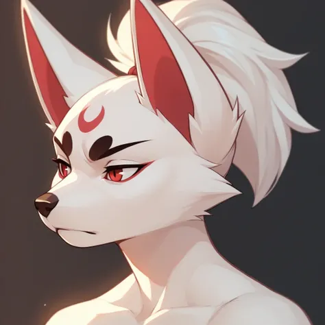 (score 9 up, score 8 up, highest score, highest quality), kitsune_ero, face markings, ponytail, red eyes, white fur, close up, upper body