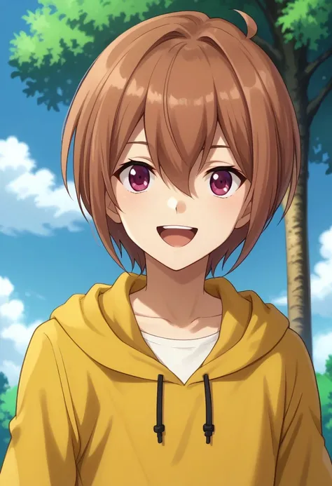 score_9, score_8_up, score_7_up, source_anime, highly detailed, 
taiyou, 1boy, solo, male focus, solo, short hair, hood, hoodie, yellow hoodie, short over long sleeves, shirt, white shirt, open mouth, smile, brown hair, hair between eyes, bangs,  looking a...