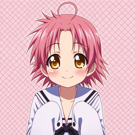 Lucky Star Characters (Pony) (Akira Kogami, Miyuki Takara, Konata Izumi, Kagami Hiiragi)