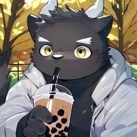 score_9_up, score_8_up, score_7_up, source_furry, mikus-style, black dragon, black body, white horns, yellow eyes, park, holding, bubble tea, black sweater, gray shorts, 1boy, solo