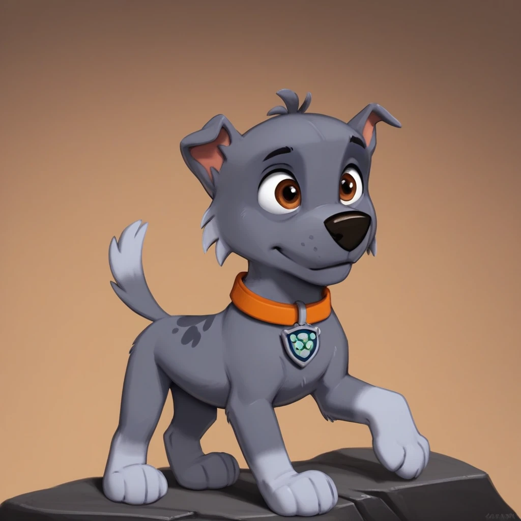 Rocky - Paw Patrol