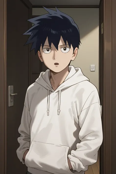 score_9,score_8_up, score_7_up, score_6_up,
ritsu kageyama, black hair, black eyes, official style, 1boy, male focus, solo, hoodie, hood, looking at viewer, open mouth, door, white hoodie, upper body, anime coloring