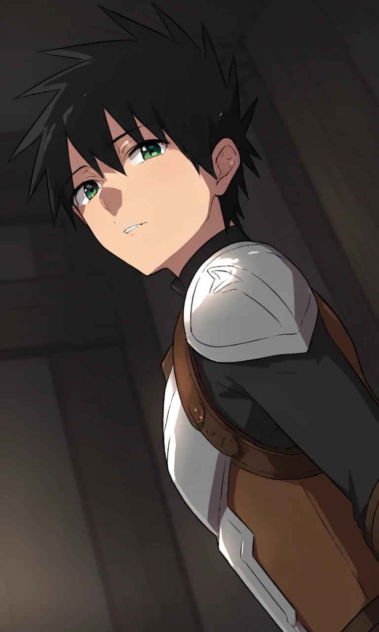 score_9, score_8_up, score_7_up, source_anime, anime illustration, masterpiece, best quality, lots of details, BREAK
1boy, solo, 18 years old, femboy:0.1, adult, harutodoujin, black hair, spiked hair, green eyes, armor, looking at viewer, shoulder armor, i...