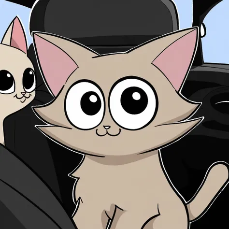 Car, Tan fur, cute, cat, black eyes, big eyes, :3