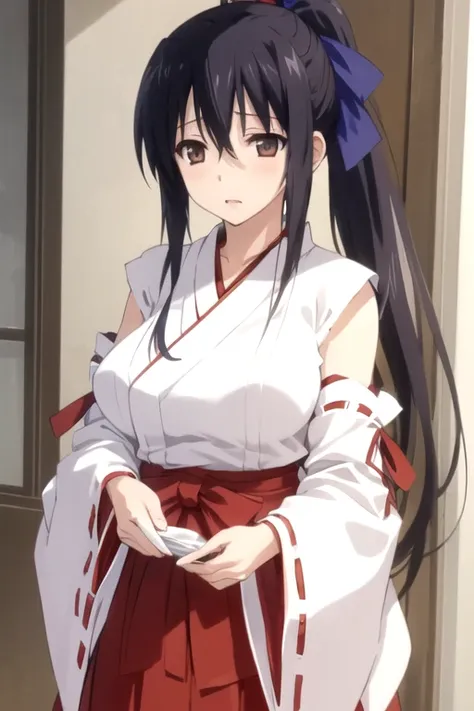 Shuri Himejima (High School DxD)