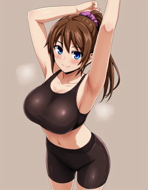 <lora:yarukuPonyV2-000009:1>
yaruku, 1girl, solo, looking at viewer, blush, smile, blue eyes, large breasts, brown hair, ponytail, midriff, armpits, arms up, scrunchie, bike shorts, sports braâââ