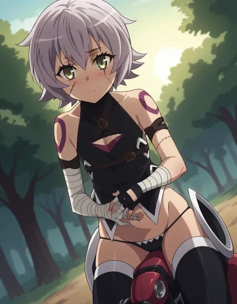 score_9, score_8_up, score_7_up, source_anime, <lora:jack-the-ripper-apocrypha-s1-ponyxl-lora-nochekaiser:1>, jack the ripper, short hair, green eyes, grey hair, tattoo, scar, scar on face, scar across eye, scar on cheek,, thighhighs, gloves, navel, bare s...