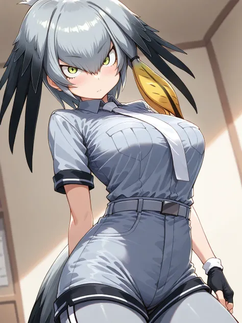 【Illustrious-XL v0.1】Shoebill ハシビロコウ / Kemono Friends けものフレンズ