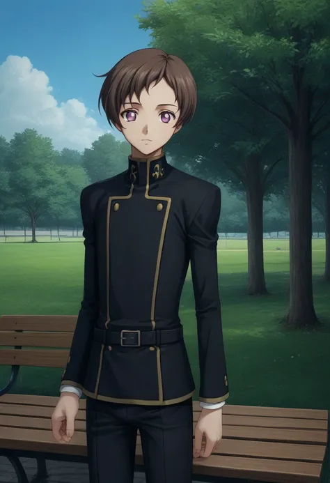 score_9, score_8_up, score_7_up, source_anime, highly detailed, 
BREAK, rolo lamperouge, ashford academy school uniform, brown hair, short hair, purple eyes, school uniform, belt, black pants, 
solo, standing, looking at viewer, 1boy, male focus, 
BREAK, p...