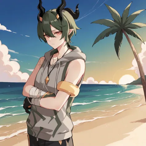 score_9_up, score_8_up, score_7_up, source_anime, 1boy, solo, beach, ocean, blue sky, sun light, clouds, palm tree, standing against palm tree, from side, looking at you, side profile, crossed arms, Kosma, Kos_Swm, two-tone hoodie, grey hoodie, green hoodi...