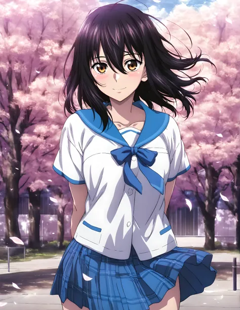 Himeragi Yukina/姫柊 雪菜（ Strike the Blood）