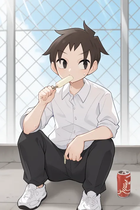 score_9, score_8_up, score_7_up, score_6_up, score_5_up,score_4_up , 
sekihara, brown hair, grey eyes, food, 1boy, popsicle, male focus, solo, sitting, shirt, shoes, black eyes, pants, fence, sweat, black pants, short hair, white shirt, black hair, chain-l...