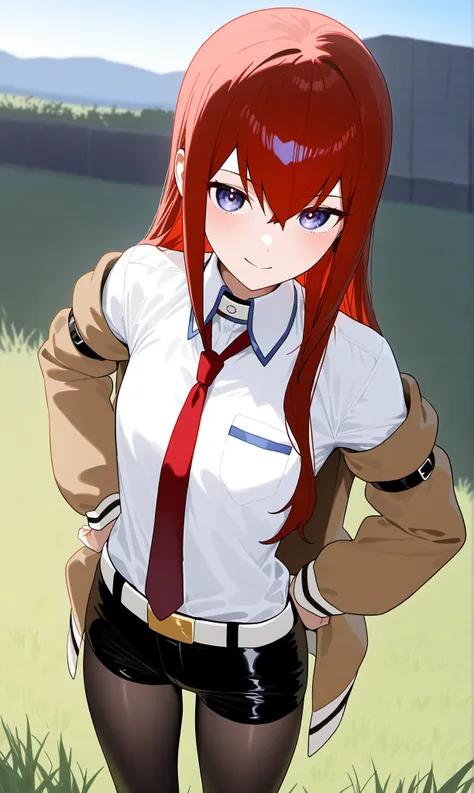 Makise Kurisu - (Steins;Gate) XL / Pony / Illustrious