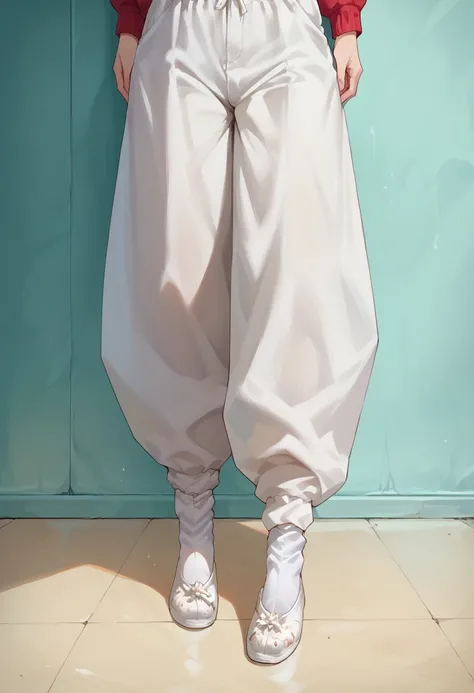 score_9, score_8_up, score_7_up, score_6_up, score_5_up, score_4_up, source_anime,
lower body, 
white baggy pants,feet, white socks, white footwear,
<lora:add-detail-xl:1> <lora:xhx:1>