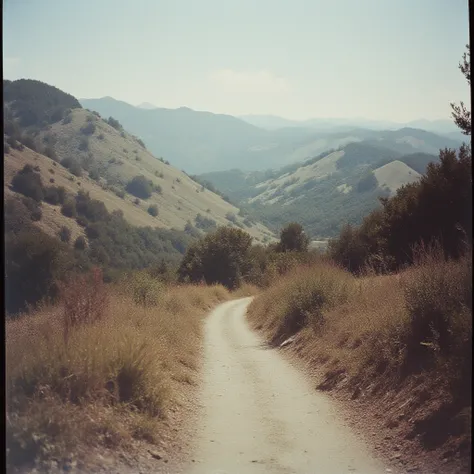 Analog Photo Style