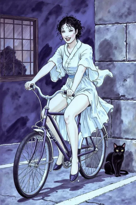 itacomic1 illustration. A Japanese school girl riding a old style bicycle through a narrow, quiet street at night. The happy woman wears a simple, flowing dress. In the corner, a small black cat with piercing eyes sits watching her quietly. The mood is tra...