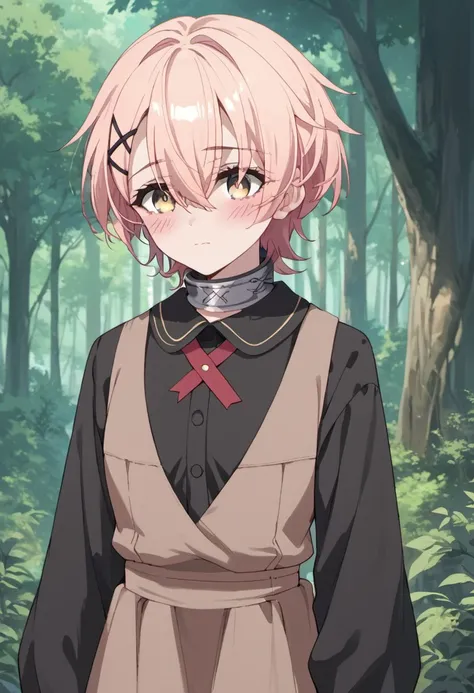 Ceres | Butareba: The Story of a Man Turned into a Pig | 豚のレバーは加熱しろ