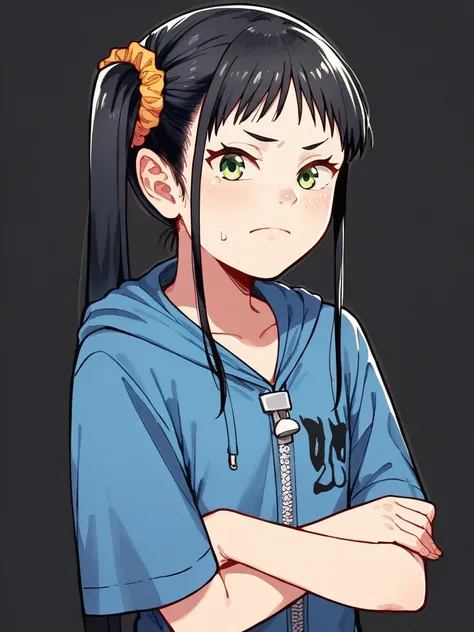 score_9, score_8_up, score_7_up,  
1girl, saki ss, black hair, side ponytail, hair scrunchie, green eyes,


upper body, black background, face, crossed arms, flat chest, looking at viewer, frown, closed mouth, blue hoodie, short sleeves, 