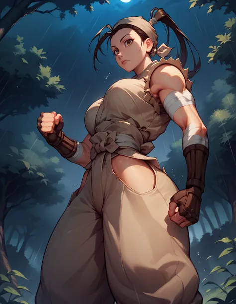 score_9, score_8_up, score_7_up, score_6_up, 
1girl,solo,
large breasts,
ibukdg,  baggy pants,ponytail, bandaged arm, 
fighting stance, from below, 
forest, night, rain,
looking at viewer, 
 <lora:Ibuki DG PXL v01-000003:1>