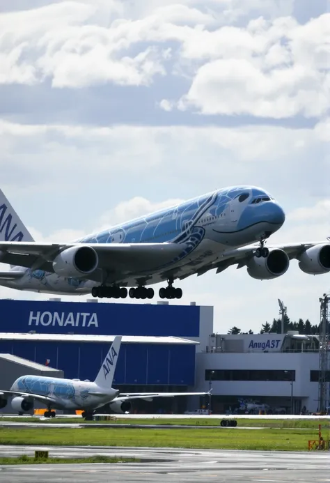 A380 Flying Honu / A380 フライング・ホヌ