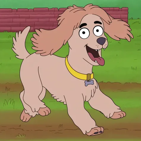 Little Cookie (Housebroken)