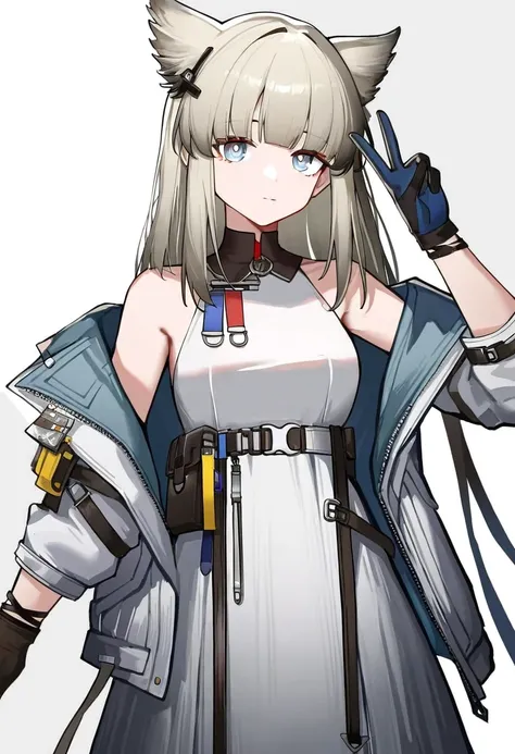 Character：佩丽卡 明日方舟：终末地 | Perlica Arknight:Endfield【Noob V-pred 1.0】