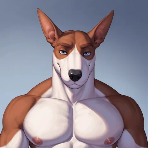 Dan (Meesh)