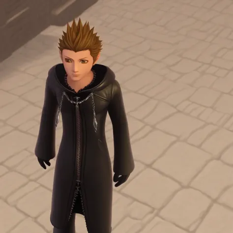 Organization 13 Cloak - Kingdom Hearts