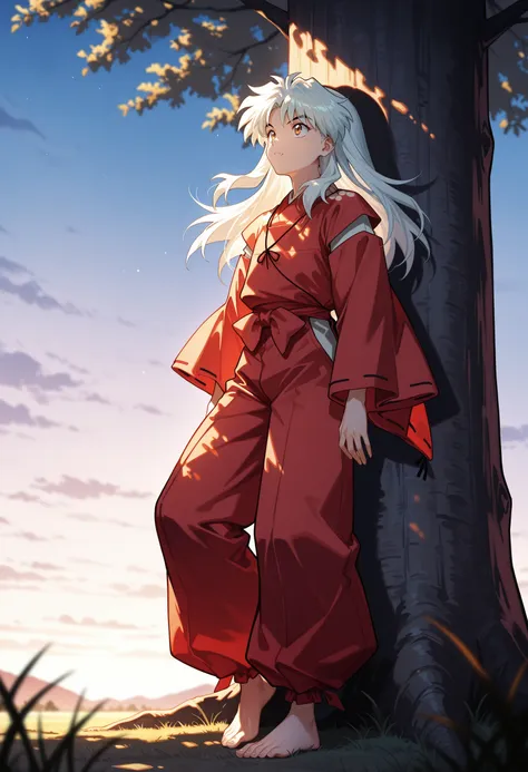 Inuyasha | 犬夜叉 - Collection v1.0 [noobai-v-pred-1]