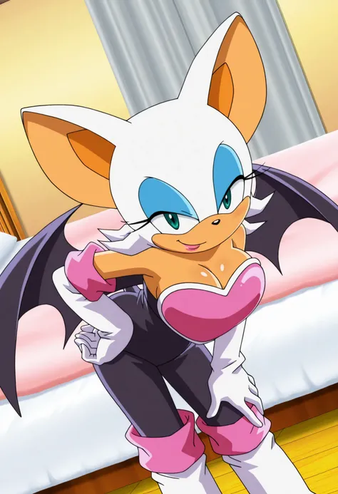 Rouge the Bat | Sonic X LoRA (Illustrious Edition)