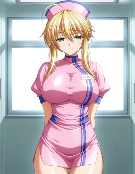 Sumeragi Clinic Nurse Uniform - Nurse ni Omakase / 皇医院ナース服 - ナースにおまかせ