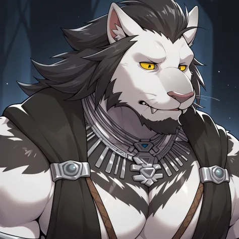 Runar