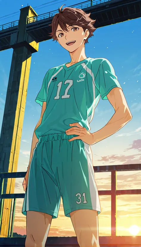 Oikawa Tooru / Haikyuu (IL)