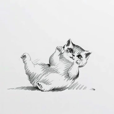 Pencil Sketch - Sketchs of pets and everything else - Bold and large strokes