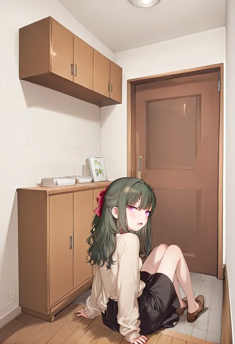 Front Door (Japanese Style) 日本の玄関｜IL