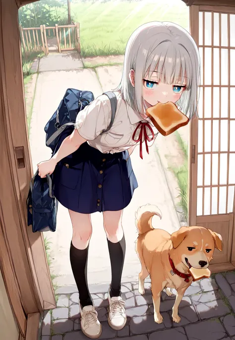 Front Door (Sliding Doors) スライド式の玄関｜IL・Animagine