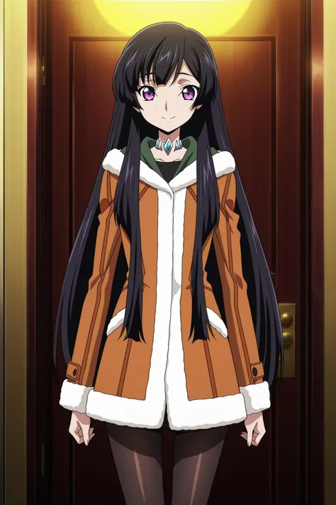 Code Geass characters by MetalchromeX (Illustrious + Pony) - Rakshata Chawla, Kallen Stadtfeld/Kallen Kōzuki, C.C., Nunnally vi Britannia, Leila Malcal, Sakuya Sumeragi, Catherine Sabathra, Kaguya Sumeragi, Villetta Nu