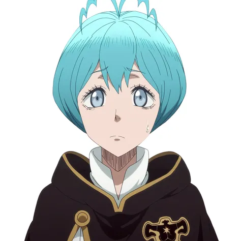 Grey (Black Clover) Illustrious / Pony