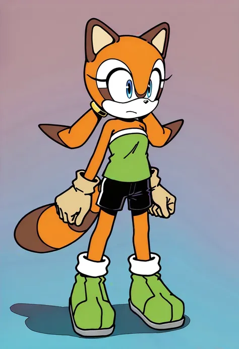Marine The Racoon (Sonic The Hedgehog)