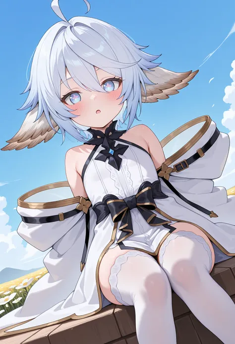 highres, best quality, masterpiece, blue sky,
1girl, solo, gbfwam, short hair, white hair, blue hair, animal ears, ahoge, blue eyes, + +, flower-shaped pupils,
gbwmdef, white dress, black collar, cross necklace, bare shoulders, sleeveless, waist bow, black bow, white cloak, gold trim, detached sleeves, wide sleeves, white thighhighs,
looking at viewer, blush,  open mouth, expressionless,
sitting, dutch angle,
<lora:_wamdus-elesico-ilxlA:1>