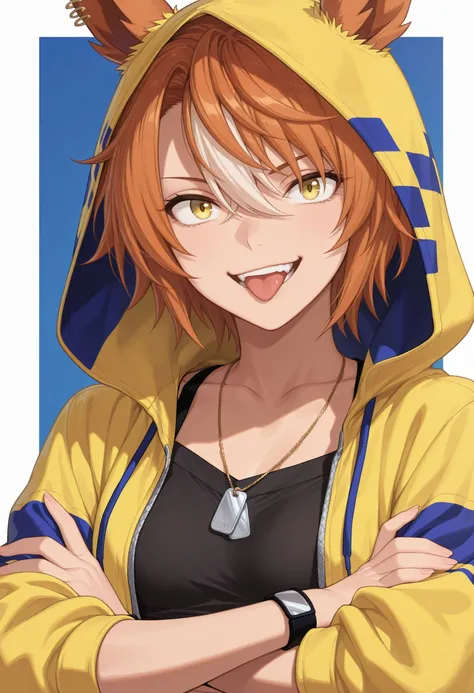Dictus Striker (Uma musume Cinderella Gray) (IllustriousXL)