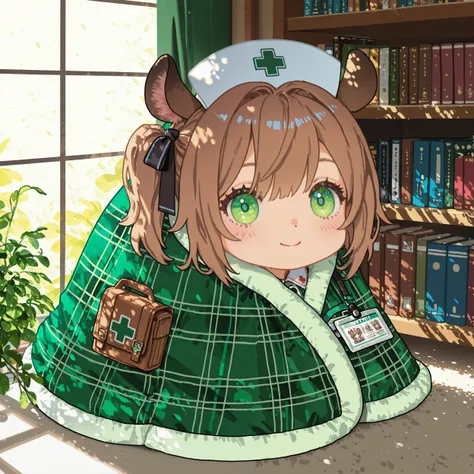 Comfy Blanket (Illustrious, Animagine, Pony) (concept)